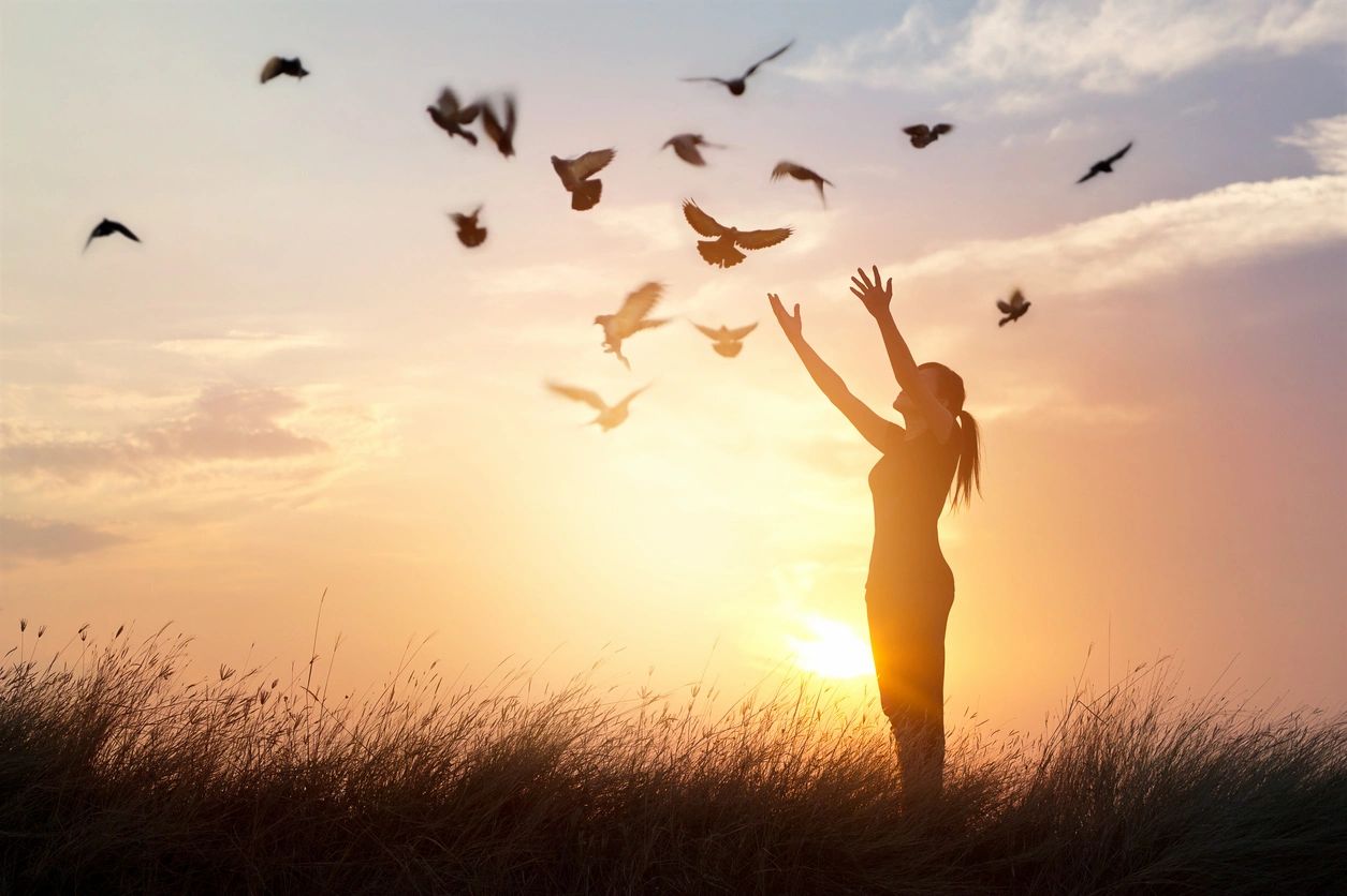 The Worship
